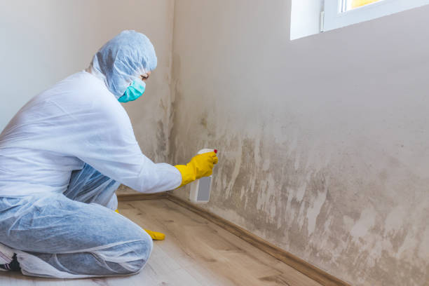 Bathroom Mold Removal assessment in Medford bathroom